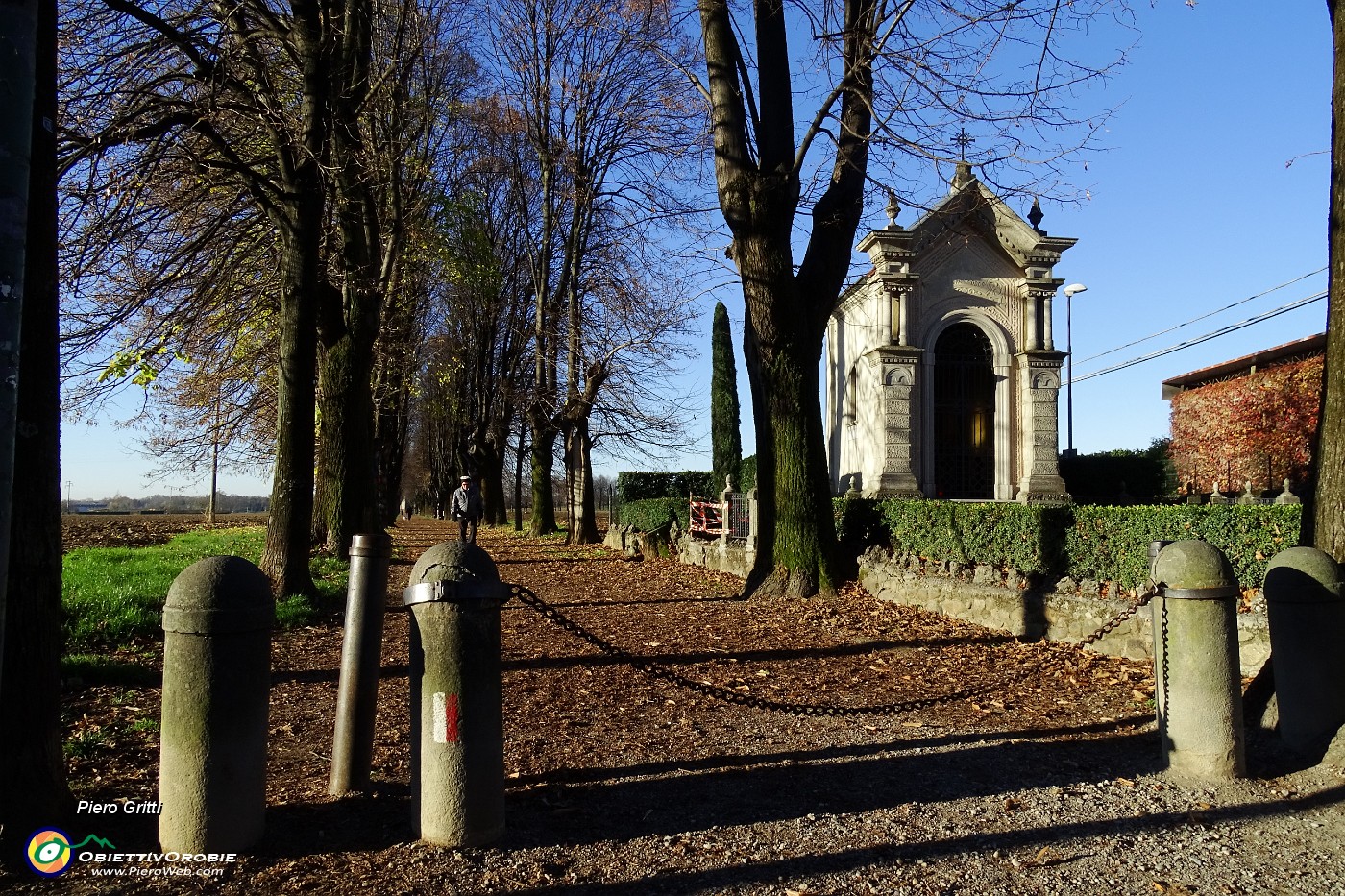 14 Il viale alberato visto dal paese di Mapello.JPG